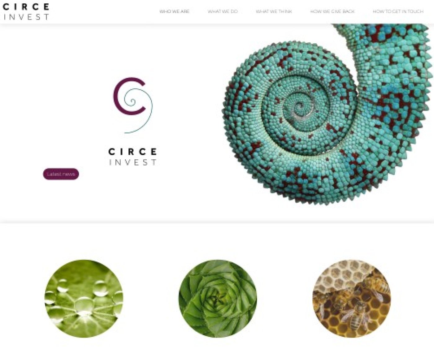 Circe Invest - Vision et Performance par OctoberCMS - Pixinside référence web