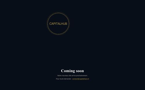 Site vitrine multilingue CapitalHub - image 1