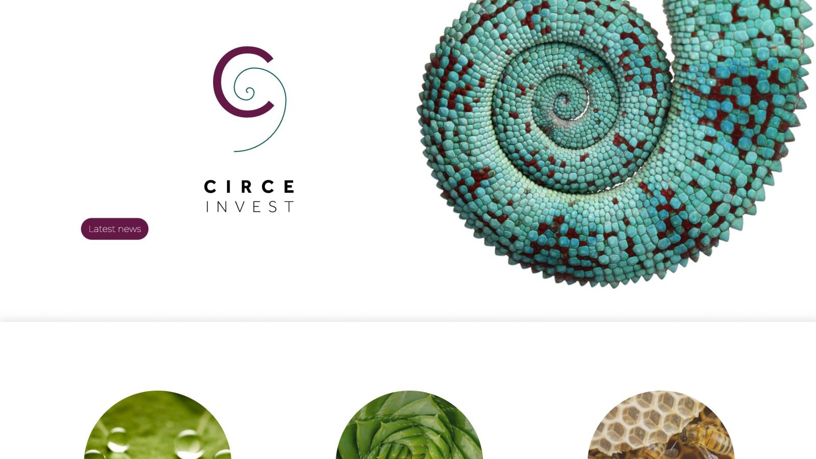 Circe Invest - Vision et Performance par OctoberCMS