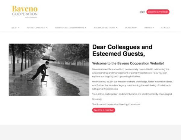 Baveno Cooperation - rÃ©fÃ©rence web Pixinside